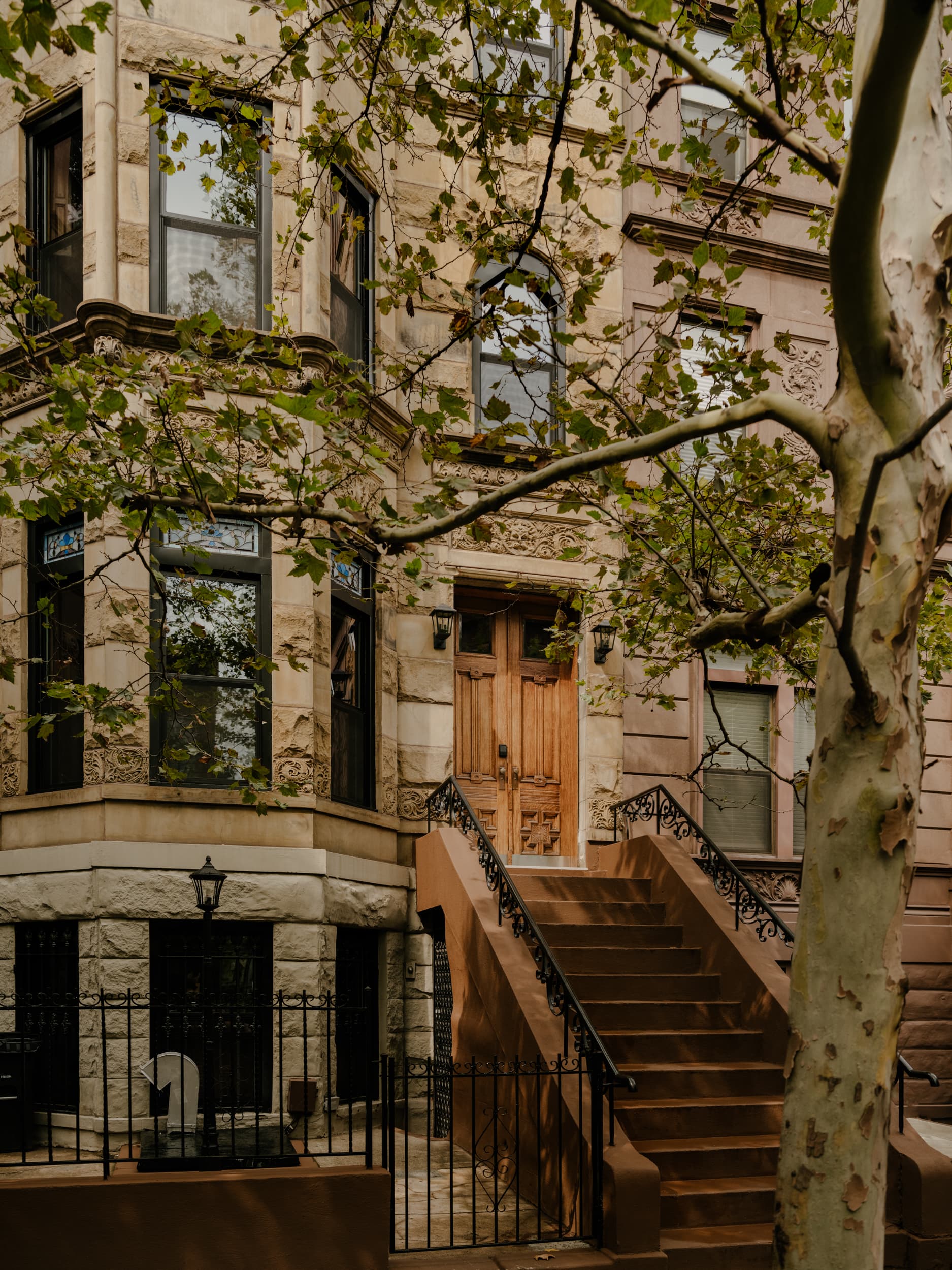 A brownstone on Halsey Street: carved wooden doors at the top of its stoop, seen through the branches of a plane tree